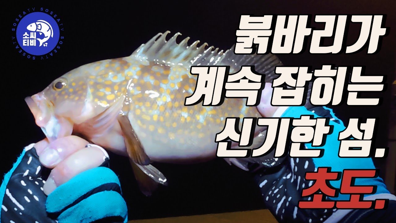 붉바리, 볼락, 쏨뱅이, 해루질까지. 풍족한 섬 여수 초도 낚시 여행 - YouTube