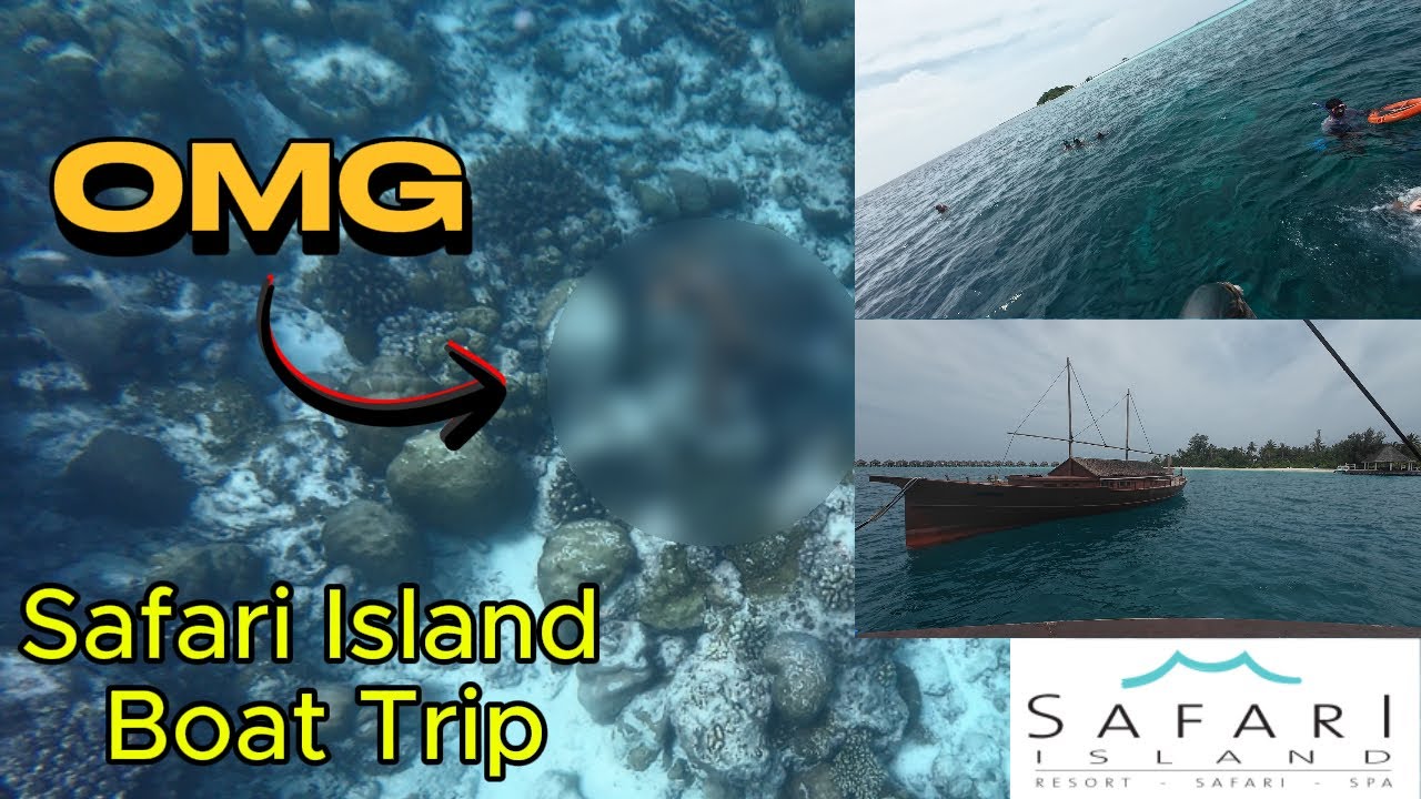 Safari Island Boat Trip- You won't believe what we saw!!