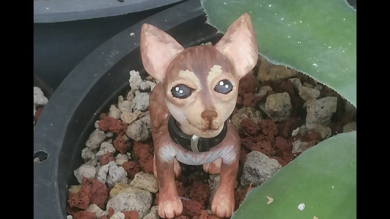 Perrito  chihuahua en porcelana fria_porcelana flexible_cachorro