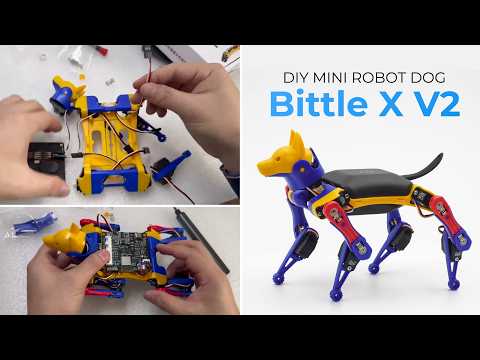 How to Build a Robot Dog: Bittle X + BiBoard V1 Assembly & Wiring Tutorial