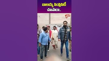 Did you see Balayya