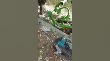 Weeding Robot TED For Vineyards || Made By Naio Technologies France || #shorts