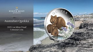 Perth Mint Unboxing Series | Australian Quokka 2023 1oz Silver Proof Coloured Coin
