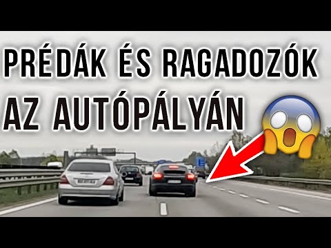 Videó: Miért ragadnak a rozettáim?