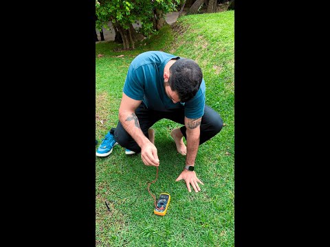 É por isso que você deve pisar na TERRA descalço todos os dias!!😮