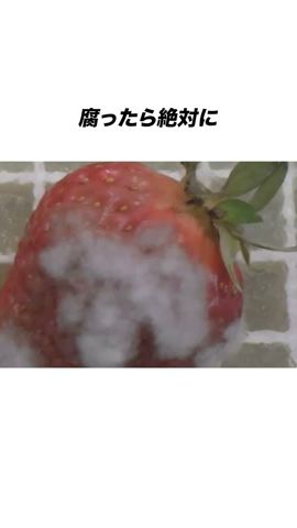 腐ったら絶對捨てなければならない食べ物3選