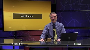 Forest Soils - The End of Nutrition