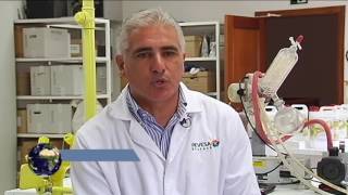 How vegetable proteins are produced and what they are used for