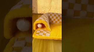 #petbed #dogbed #catbed #petcomfort #petproducts #petlovers #pethome #petcare #cozypets