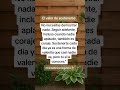 Seguir adelante aún cuando nadie aplaude.#minimalismoenergético #frases #cambio #autoestima #amor