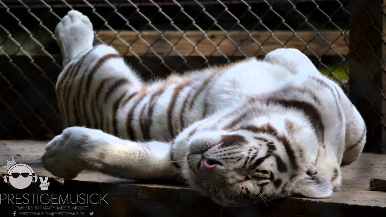 Flume - Sleepless (The Ninetys Remix) | Highly Requested :)