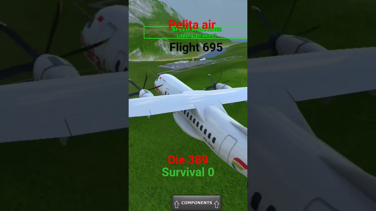 Pelita Air Flight 695