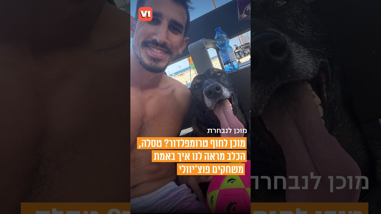 הכלב שיכול ללמד אתכם איך לשחק פוצ'יוולי