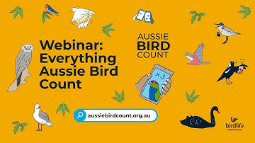 Webinar: Everything Aussie Bird Count with Sean Dooley