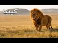 كينيا الجمال الخطر في شرق إفريقيا وثائقي سفر بدقة 4K mp3