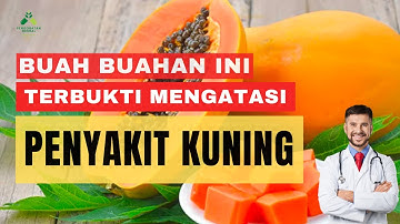 TERNYATA 🔴 BUAH BUAHAN INI BERGUNA UNTUK OBAT HERBAL PENYAKIT KUNING