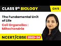 Cell Organelles : Mitochondria - The Fundamental Unit of Life | Class 9 Biology