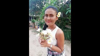 Planting tapioca with my family part 1