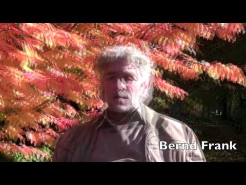 Agnihotra - Heile die Atmosphäre und die Atmosphäre heilt dich