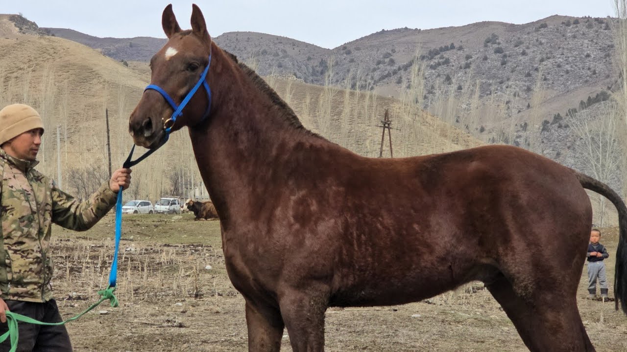 Растовтон келген ӨСПҮРҮМ  Калыбекте 