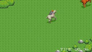 Gladiator 1984 ~1984 SNK~ Arcade MAME sgladiat