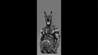 Motorcity Casino Boxing #k9boxing #boxing #champion #tyson #miketyson #floydmayweather #jakepaul ￼