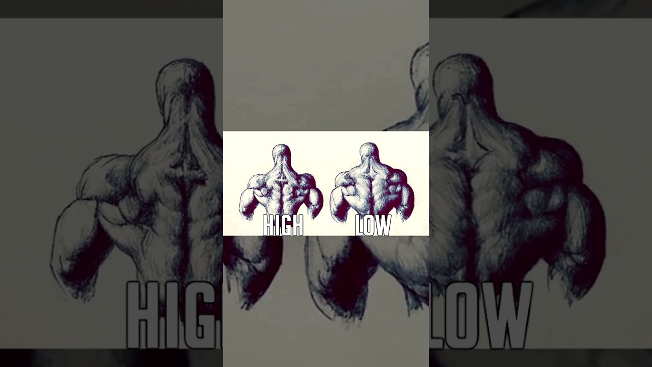 Генетика бодибилдинга: мышечные соединения