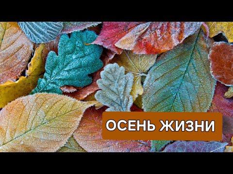 МАМА в пансионате для сеньоров Грустная история HOSPICE Is The Only Way For Terminally Ill USA