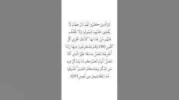 سورة فاطر (٣٦-٣٧) _ الشيخ سعد الغامدي