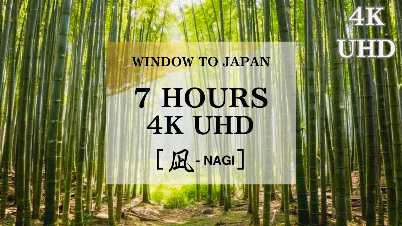 Hidden Bamboo Forest | 凪 - NAGI | Pure Nature Sounds for Deep Sleep & Zen | Window to Japan 7H 4K