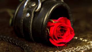 Love Beyond Boundaries