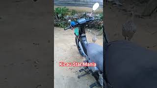 kicau Star Mania