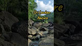 Sri Lanka | Natural | #short #natural #shortvideo #viral #waterfall #trending #travel