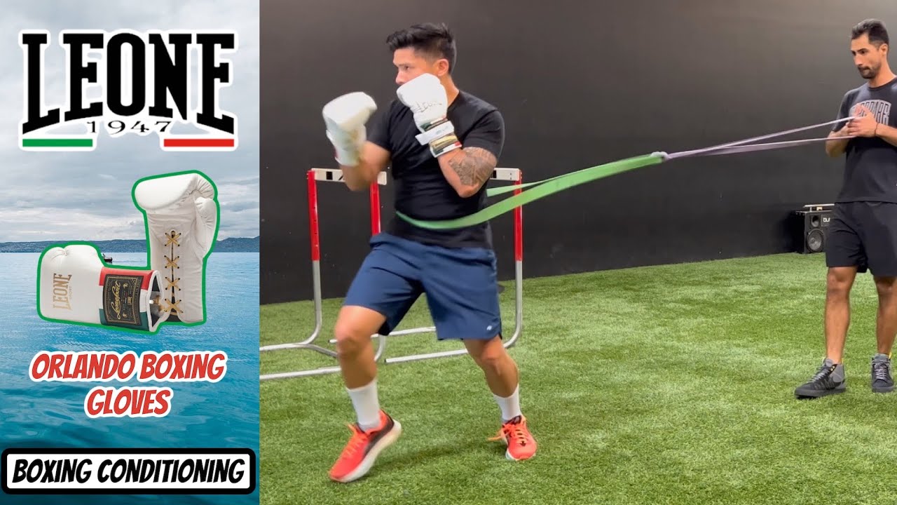 BOXING TRAINING Leone Sport Orlando Tricolore Italian Boxing Gloves