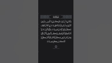 سورة النساء الآيات 27-29 محمد اللحيدان
