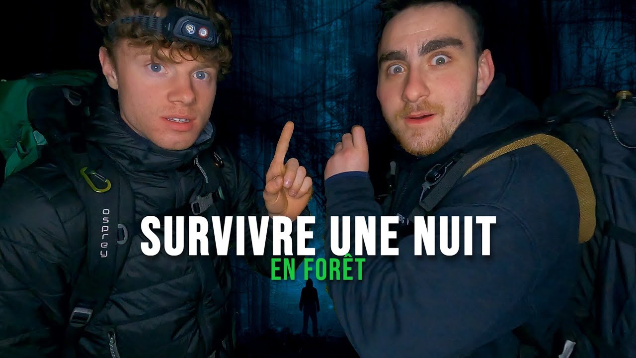 Une nuit, je dormirai seule dans la forêt main image 1