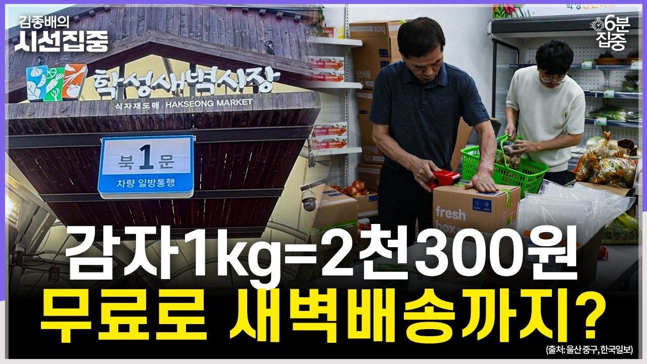 [시선집중] 전국 전통시장 최초 새벽배송 뛰어든 학성새벽시장, 지속가능성은 - 유승민 작가[6분집중], MBC 260831 방송