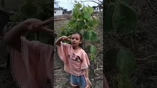 Photo Zoom Zoom neelkamal Singh song #neelkamalsingh #shorts #shortvideo