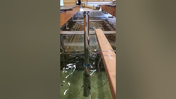 Coupled Hydrodynamic and Structural Monitoring of Floating Offshore Wind Turbine Model