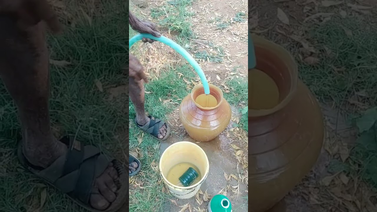 செடிகளுக்குத் தேவையற்ற களைகளை அகற்ற களைக்கொல்லி (Herbicide) மருந்து