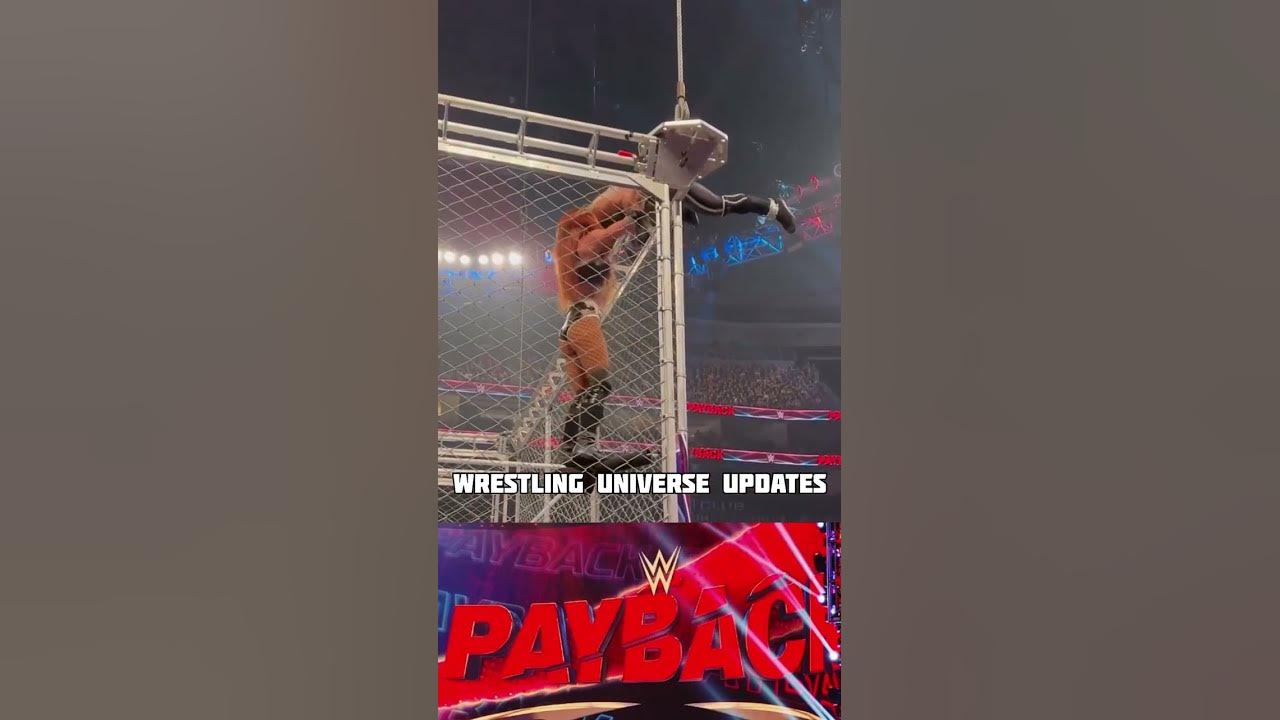 Becky Lynch and Trish Stratus Steal the Show, More Hot Takes from WWE  Payback 2023, News, Scores, Highlights, Stats, and Rumors