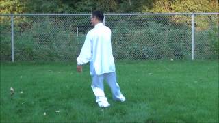 Alex Wu Taiji 16 forms  Right side start, side view