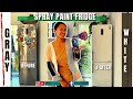Spray paint Fridge to look New & Expensive!!!