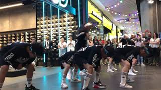 A2D Juniors Grand Opening Platypus Melbourne Central