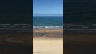 La plage de la grande côte sauvage depuis le phare de la coubre