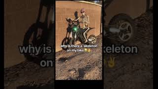 Ramdon images in my camera roll