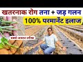 खेती में डंपिंग ऑफ तना गलन जड़ गलन 💯 कंट्रोल | damping off fungicide | Wilt Disease | sabji ki kheti