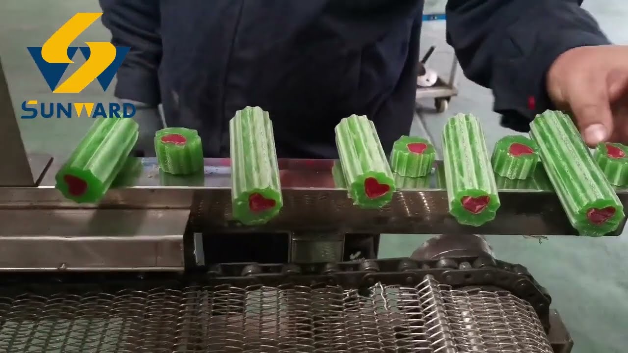 Core Filling Dog Chews Manufactured by Pet Treats Production Machine