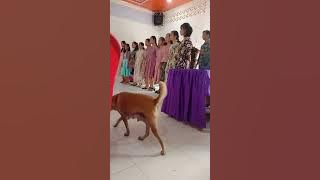 Lagu Rohani || FAOSO YAUGO TODO SINO MORO