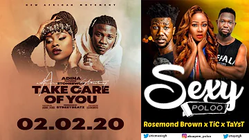 Adina ft. Stonebwoy - Take Care Of You & Akuapem Poloo With S3xy Poloo ft. Tic (FRESH RELEASES)